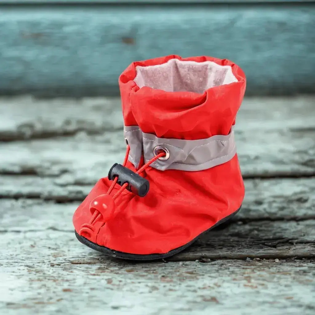 Chaussures pour chien "Trekki" Zarona