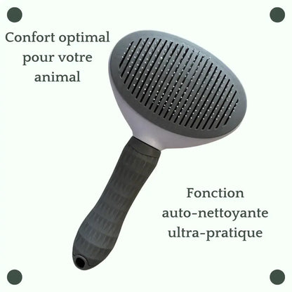 Brosse auto nettoyante pour chiens "Groomi" Zarona