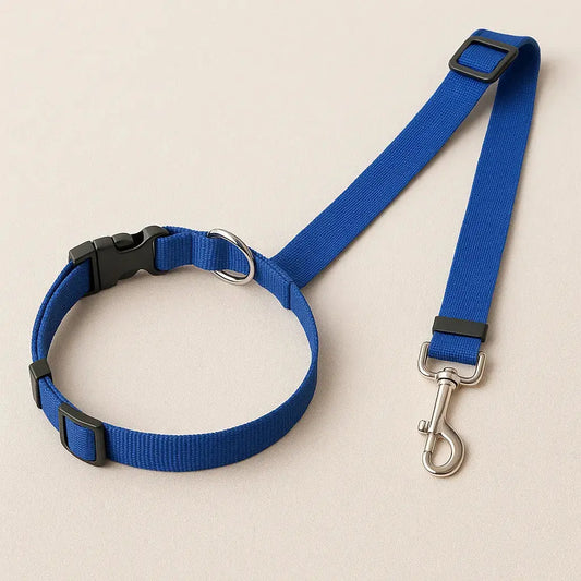 Ceinture de sécurité pour chien "Strappi" Zarona