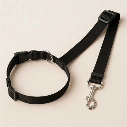 Ceinture de sécurité pour chien "Strappi" Zarona