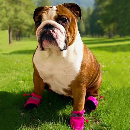 Chaussures pour chien "Trekki" Zarona