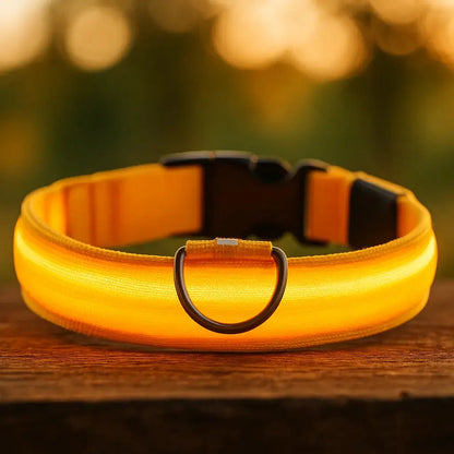 Collier lumineux pour chien "Shini" Zarona