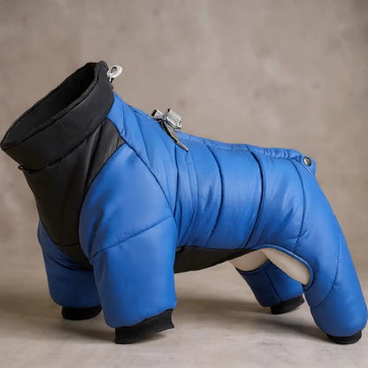 Manteau pour chien "Nordik" Zarona