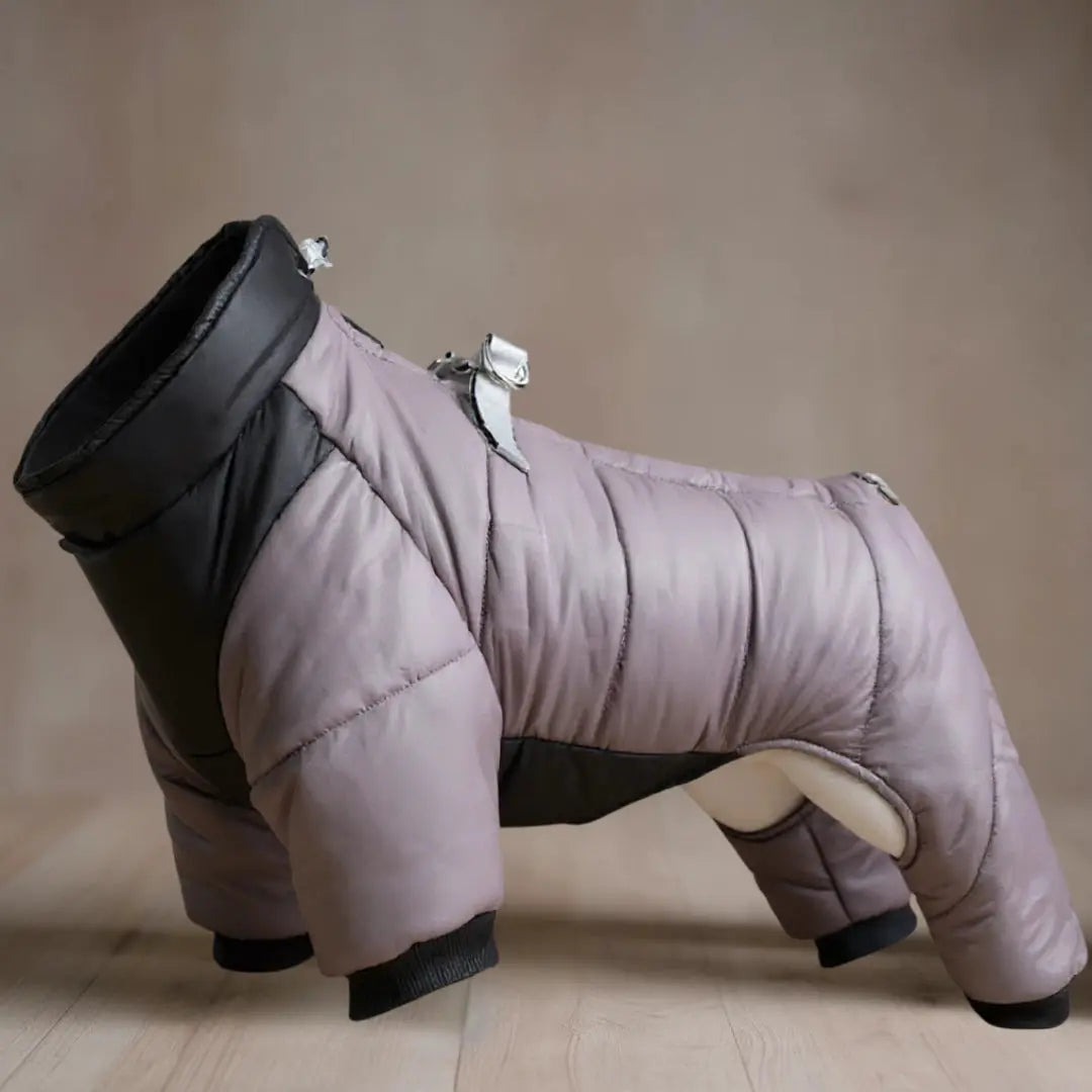 Manteau pour chien "Nordik" Zarona