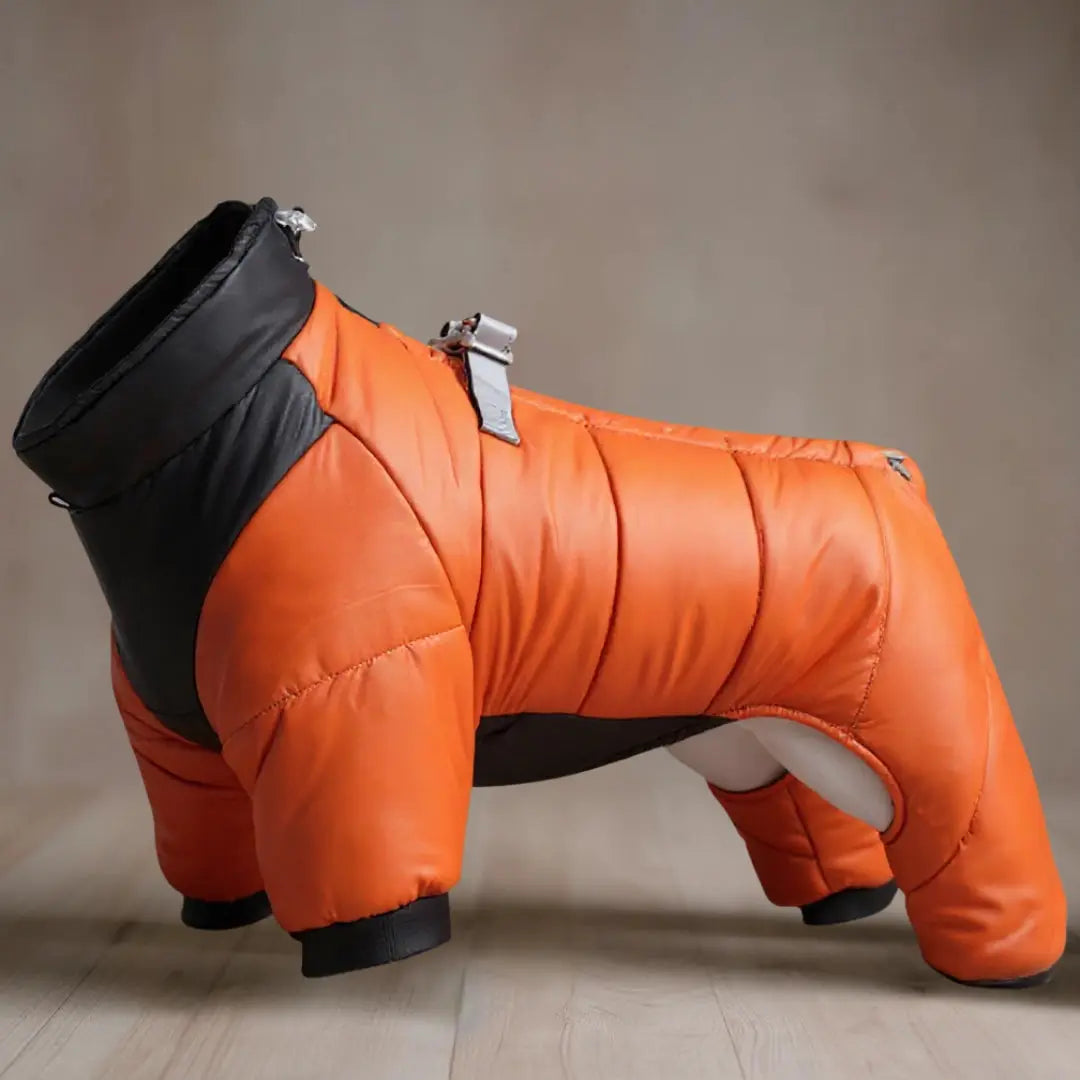 Manteau pour chien "Nordik" Zarona